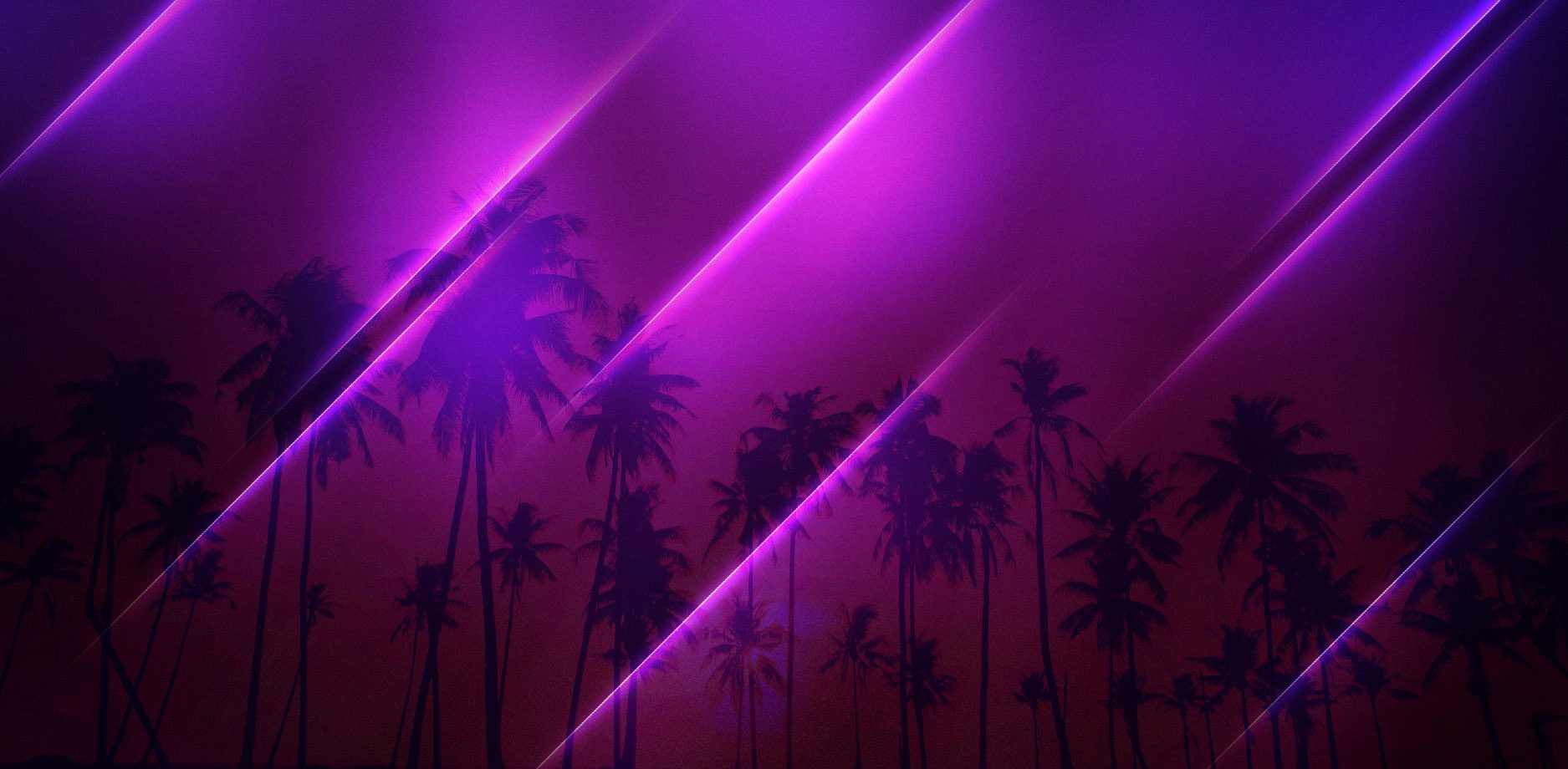 Silhouettes of palm trees against a purple and pink gradient sky with diagonal light streaks, moody sunset atmosphere